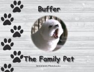 FamilyPet BUFFERWeb