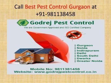Call Best Pest Control Gurgaon at +91-981138458 (1)