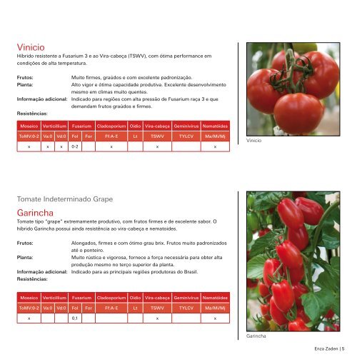 Tomate e Pimentão 2018 | 2019