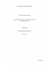 Final-Year Project Report for BSc (Hons.) - Department of Computer ...