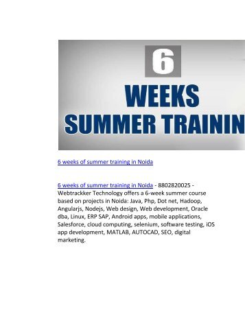 6 weeks of summer training in Noida (2)