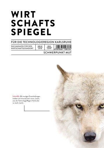 Wirtschaftsspiegel für die TechnologieRegion Karlsruhe 2018