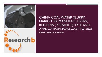 China Coal Water Slurry Market by Manufacturers,