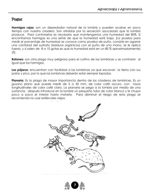 Manual de Agroecología y Agroforestería de Otros Mundos A.C.