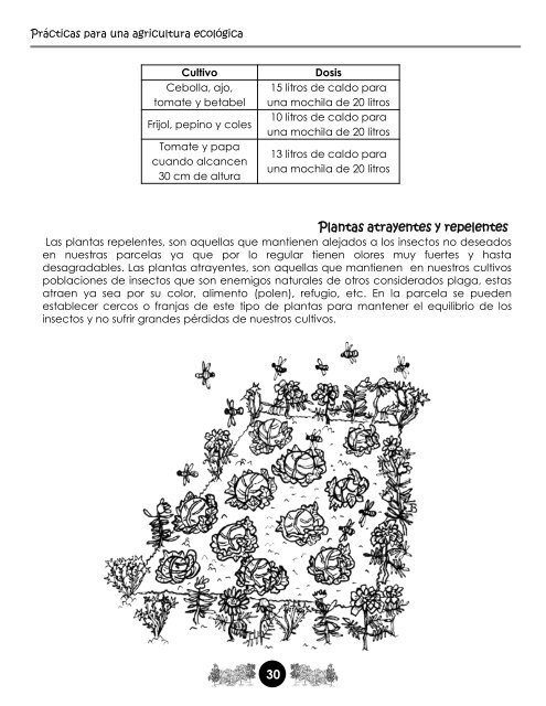 Manual de Agroecología y Agroforestería de Otros Mundos A.C.