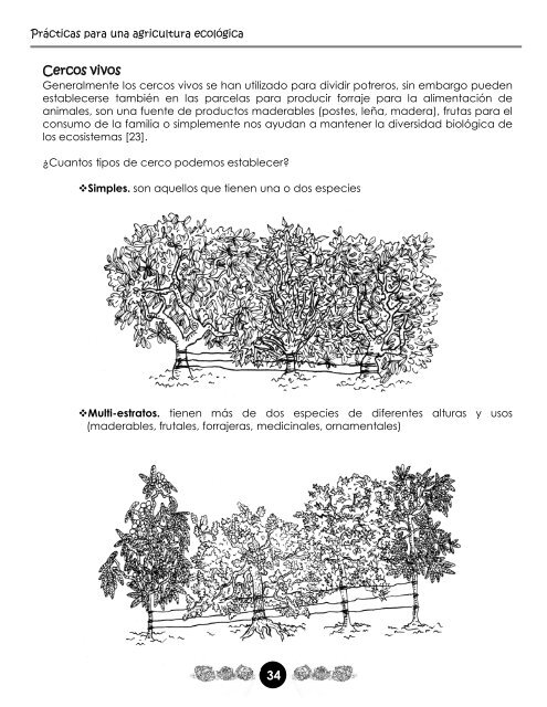 Manual de Agroecología y Agroforestería de Otros Mundos A.C.