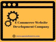 E Commerce Website Development Company from USA-Apex Info-Serve