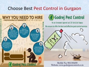 Hire The  Best Pest Control Services in Gurgaon