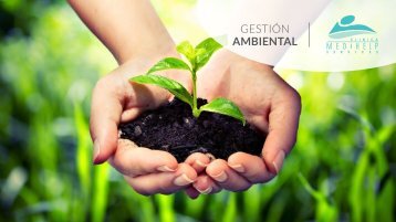 GESTION AMBIENTAL