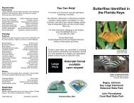 Butterfly Brochure Letter Size (4).pub - Florida State Parks