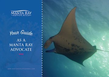 Your Guide as a Manta Ray Advocate