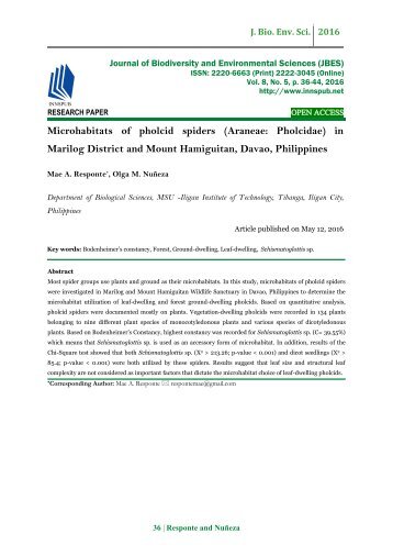 Microhabitats of pholcid spiders (Araneae: Pholcidae) in Marilog District and Mount Hamiguitan, Davao, Philippines