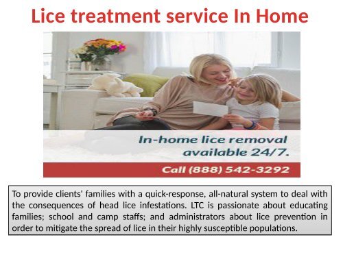 lice removal service