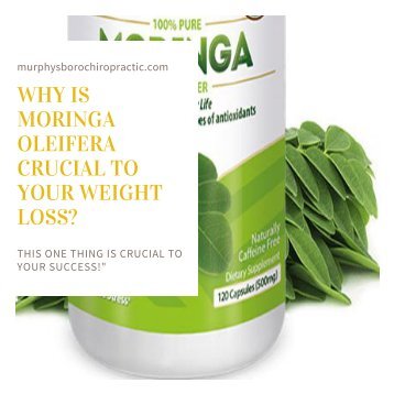Why is Moringa Oleifera crucial to your weight loss-body sculpting treatments