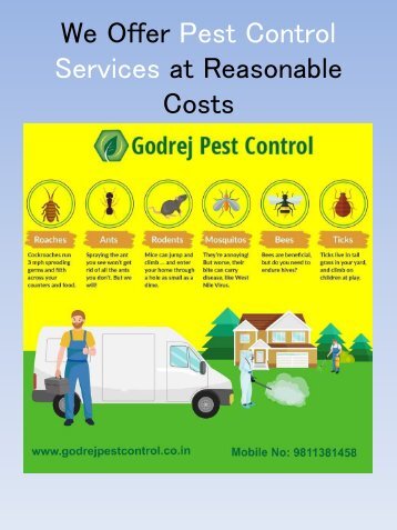 We Offer Pest Control Services at Reasonable Costs