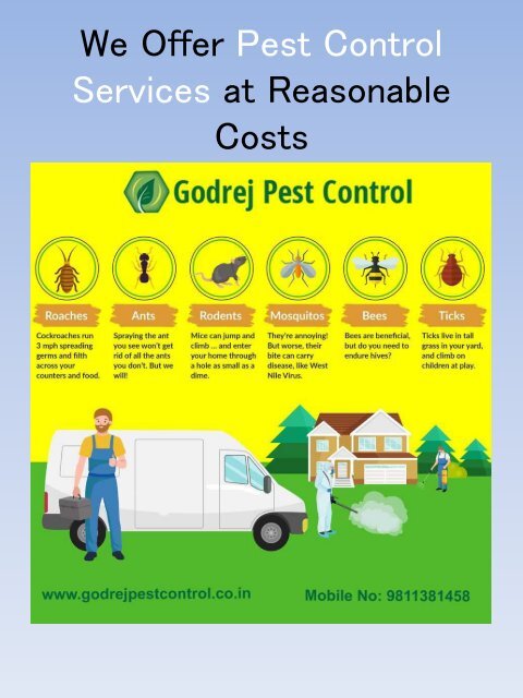 We Offer Pest Control Services at Reasonable Costs