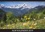 Alm Kalender 2019
