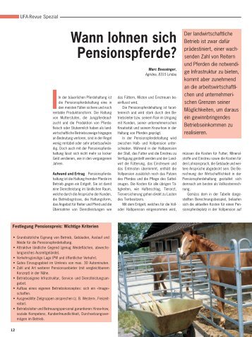 Wann lohnen sich Pensionspferde? - Hypona