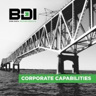 BDI Corporate Capabilities