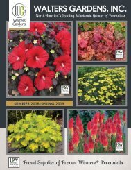 18-19 Walters Gardens Wholesale Catalog