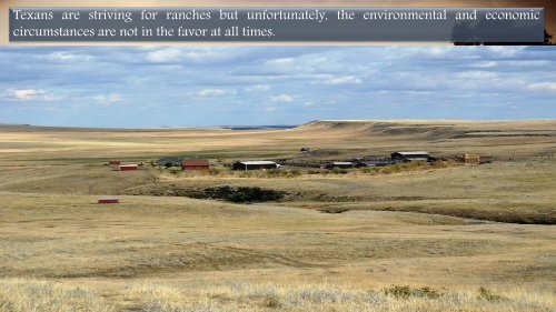Interesting Facts about Farms and Ranches in the United States