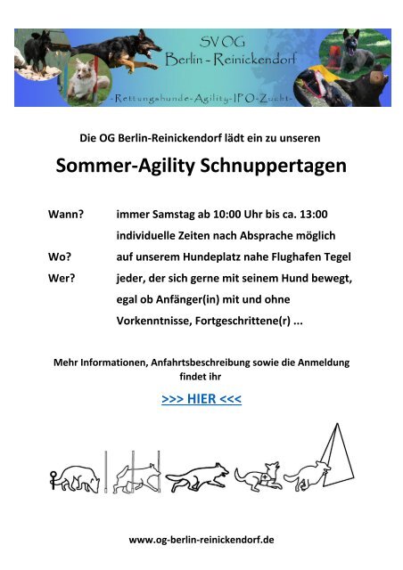 Agility Schnuppertage OG Berlin Reinickendorf