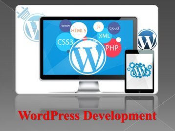 Wordpress Development