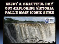 Enjoy a beautiful day out exploring Victoria Falls main iconic sites