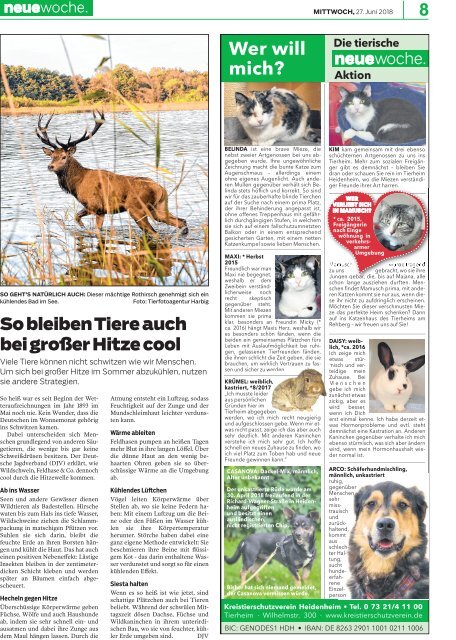 27.06.2018 Neue Woche