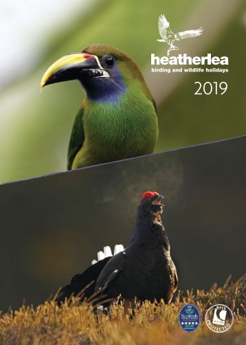 Heatherlea 2019-Paged