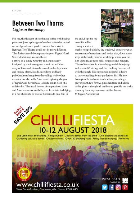 Viva Brighton Issue #65 July 2018