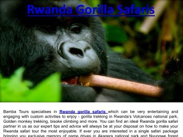 Rwanda Gorilla Safaris