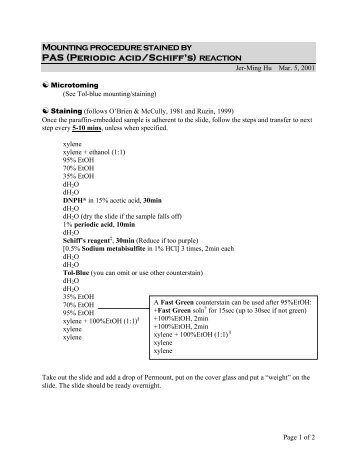 Mounting procedure stained by PAS (Periodic acid/Schiff's) reaction