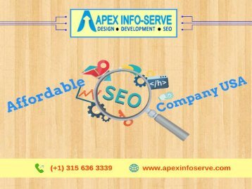 Affordable SEO Company USA-Choose Apex Info-Serve to uplift your business