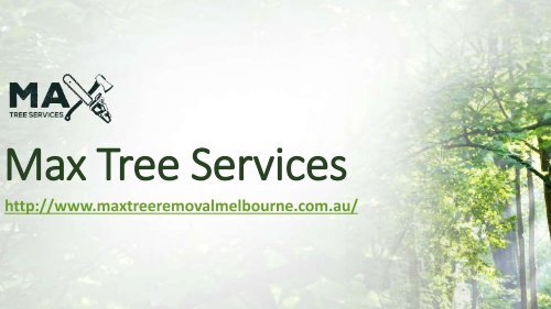 Tree Stump Removal Melbourne | Max Tree Services