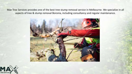 Tree Stump Removal Melbourne | Max Tree Services