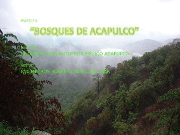 BOSQUES DE ACAPULCO Proyekt