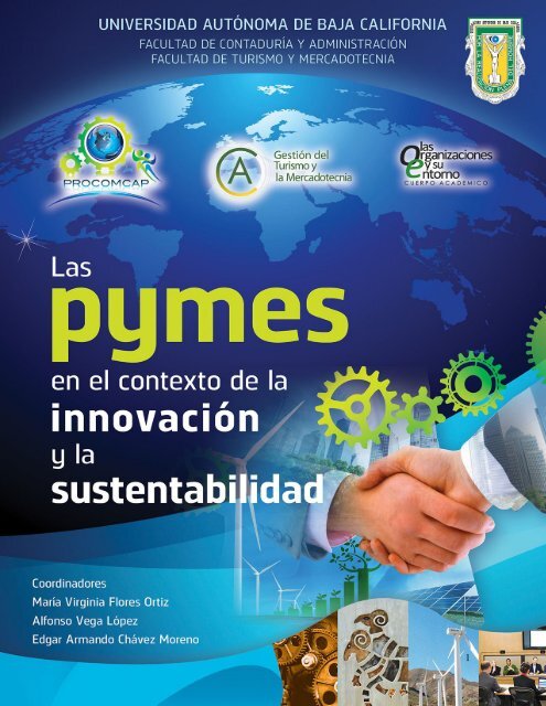 Las Pymes En El Contexto De La Innovacion Y La Sustentabilidad