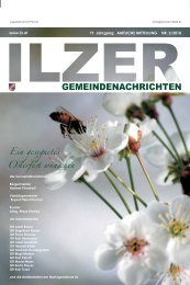 (1,23 MB) - .PDF - Ilz