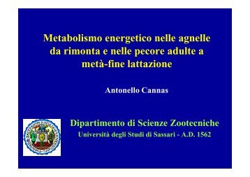 Metabolismo energetico nelle agnelle da rimonta e nella - Scienze ...