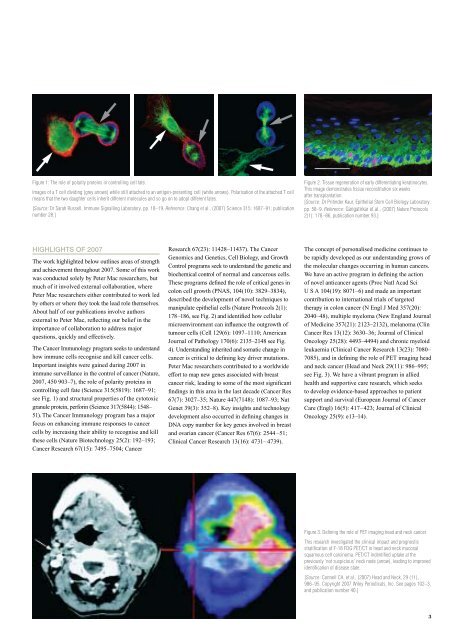 RESEARCH REPORT - Peter MacCallum Cancer Centre