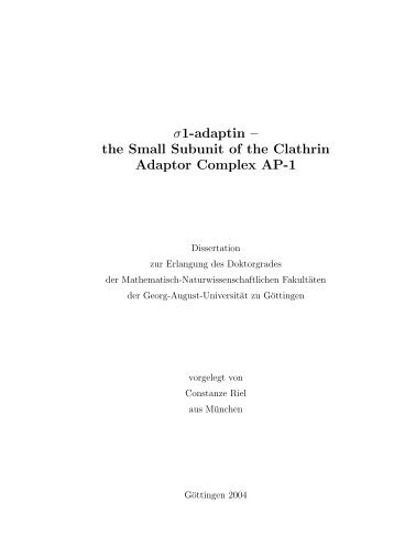 σ1-adaptin – the Small Subunit of the Clathrin Adaptor Complex AP-1