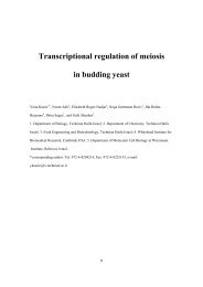 Transcriptional regulation of meiosis in budding yeast