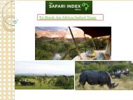 To Book An Africa Safari Tour