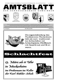 amtsblatt - Meckesheim