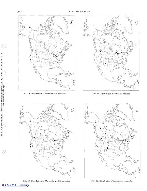 Redhead Fungal Biogeography.pdf - Mushroom Hobby