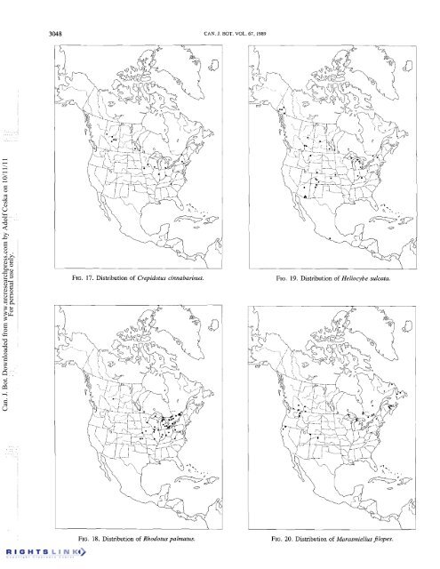 Redhead Fungal Biogeography.pdf - Mushroom Hobby