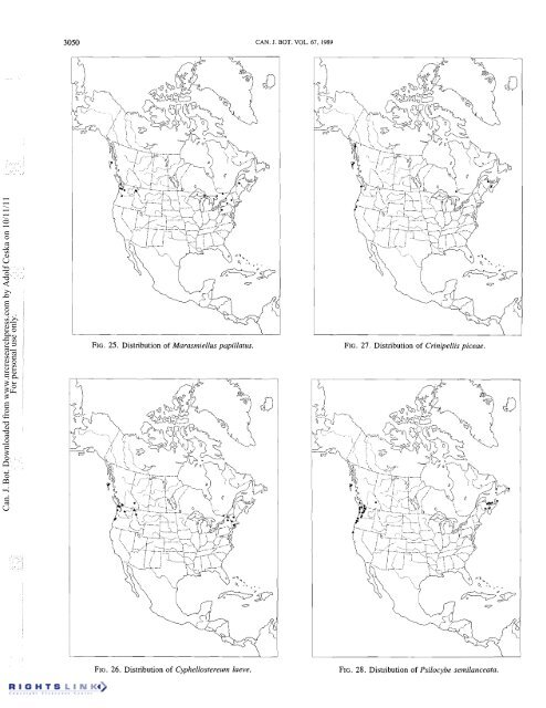 Redhead Fungal Biogeography.pdf - Mushroom Hobby