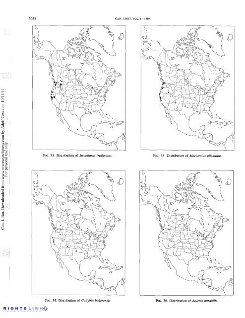 Redhead Fungal Biogeography.pdf - Mushroom Hobby