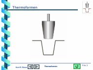 Thermoformen - Horst R. Dänzer